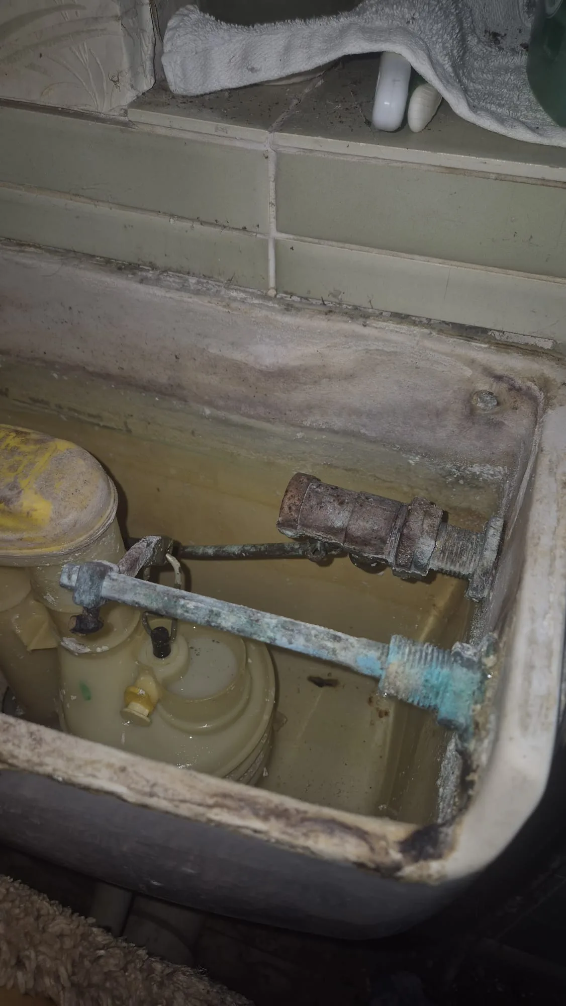 Inside an ageing low-level cistern: the float valve arm corroded, the threads limescaled solid and the siphon perished. Replaced rather than patched.