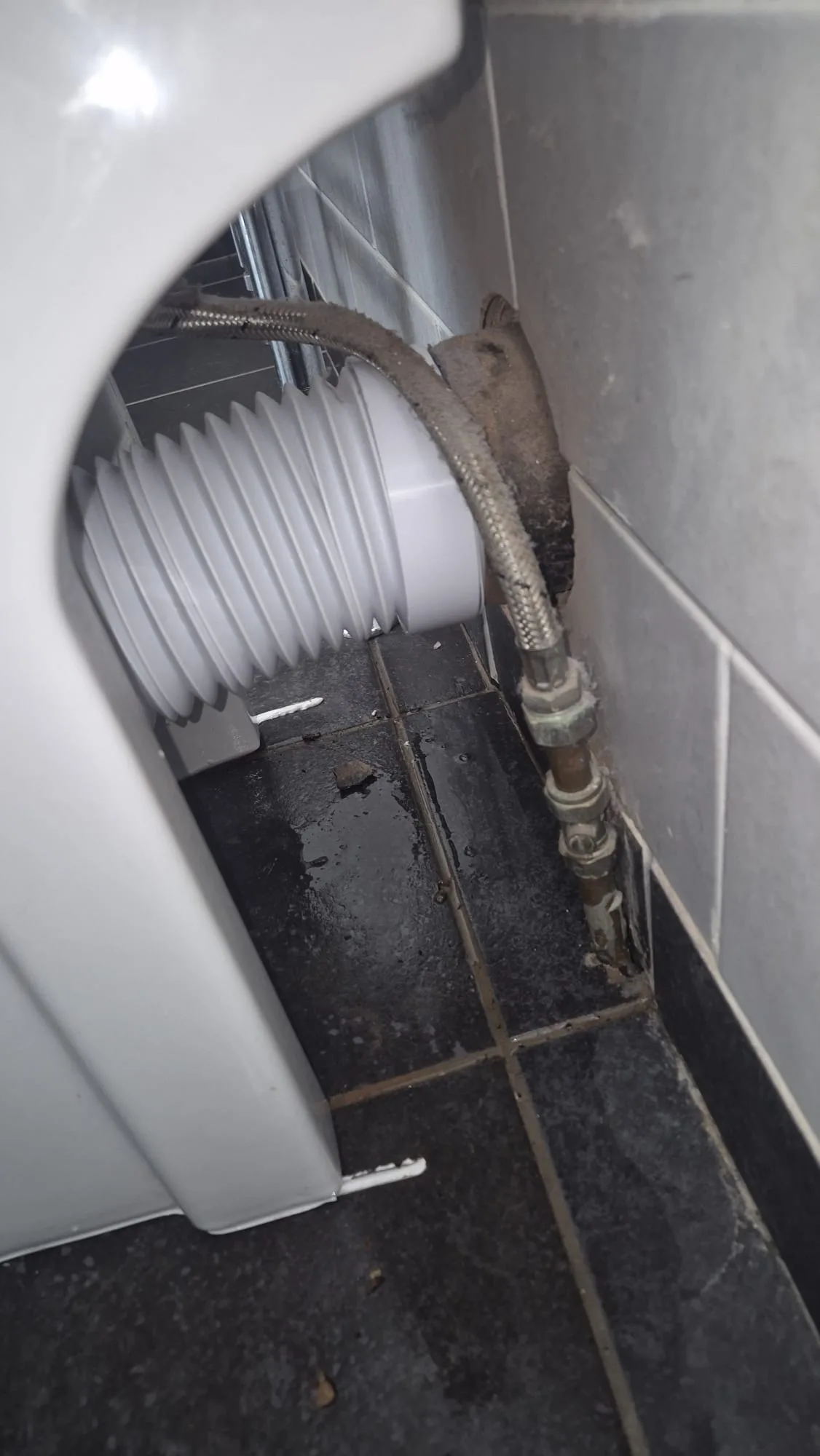 Behind the pan: the braided flexi had furred and corroded at the fitting and the isolator was scaled up. The standing water on the tiles tells the story.